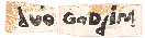duoGaddiniRJAM01transparent
